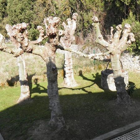 אמוריו Hotel Restaurante Aldama מראה חיצוני תמונה